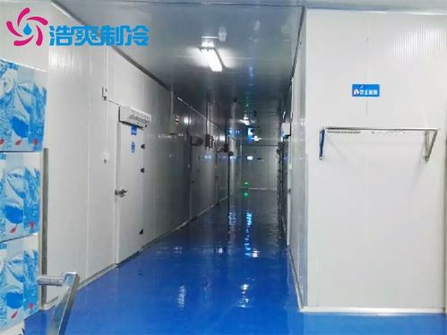 水產冷庫建造一個100平方的海鮮速凍冷庫造價